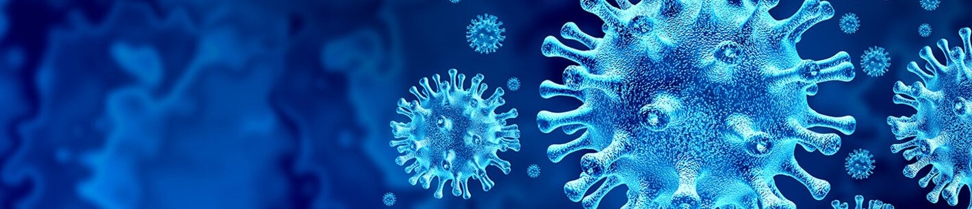 imagen del coronavirus