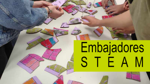 Proyecto «Embajadores STEAM» en la convocatoria de DualizaBankia